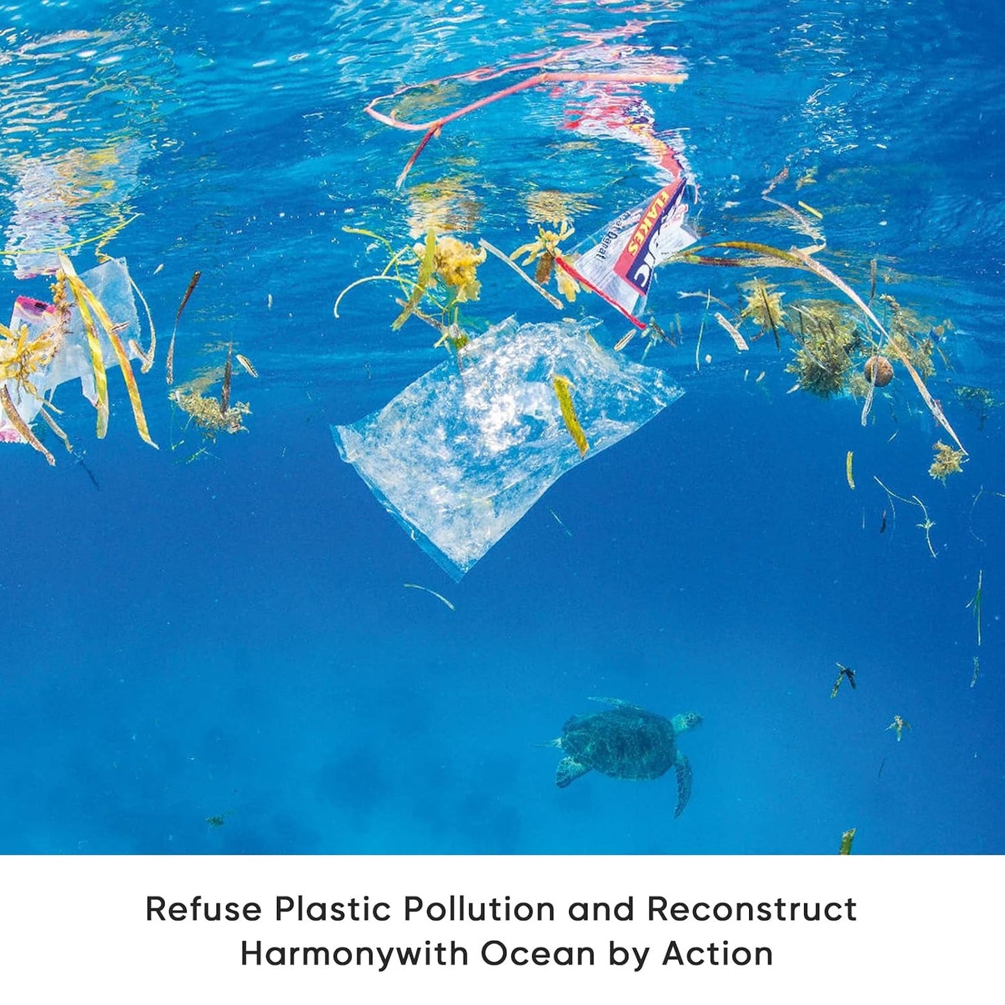 Plastic Bags